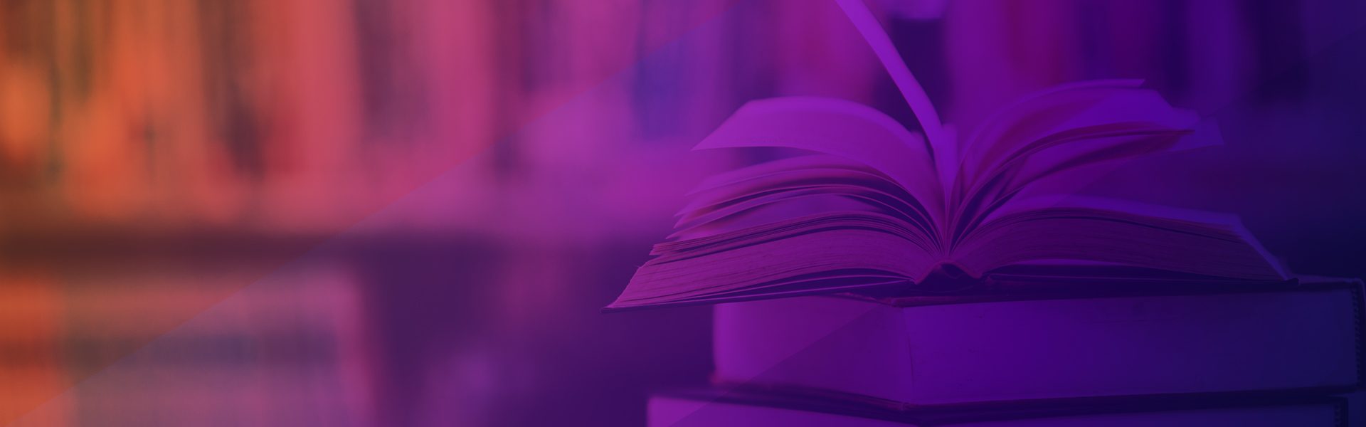 FE 052 24 – Banner Site Minter sRGB 1920x600px FE 052 24 - Banner Site Minter sRGB 1920x600px